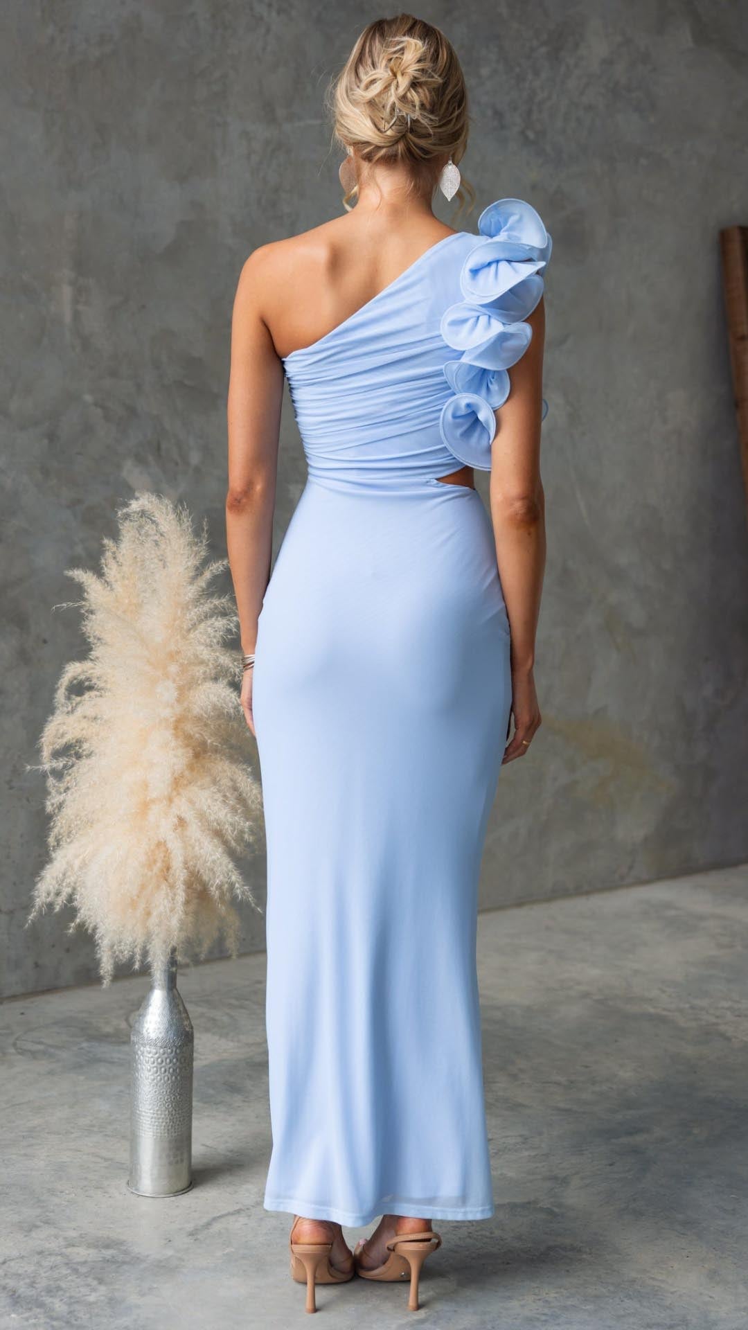 Serina | One-Shoulder Ruffle Mesh Maxi Dress